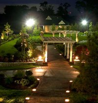 No UV Blue / Green Outdoor Garden Ground Lights 50000 Hours Lifespan