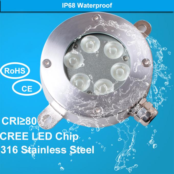 Shockproof 12V Low Voltage Underwater Pond Lights 316SUS Switch Power