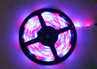 Flexible 12V 5m RGB LED Strip Lights Color Changing for Home