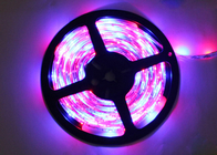 600 LEDs Waterproof LED Strip Lights 12v High Power Multi Colour