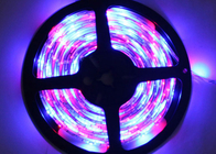 Decorative 150 LEDs SMD 2835 Led Strip RGB Color , CE ROHS Approvals
