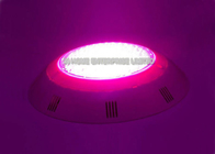 Remote Control LED Underwater Pool Lights Color Changing AC 12V Wall / Surface Mounted
