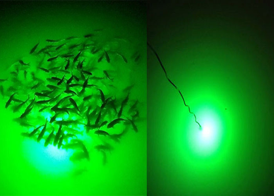 Marine Fish Attractive Underwater LED Boat Lights Bluetooth Remote Control