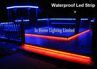 3528SMD RGB LED Strip Lights For Stair Lighting , 24V Double PCB Christmas Strip