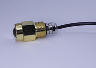 9W Brass IP68 LED Marine Drain Plug LED Underwater Dock Lights